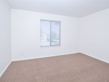 Large Bedroom Windows